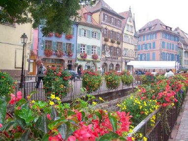 Freiburg - Blumen